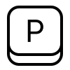 P Keyboard key