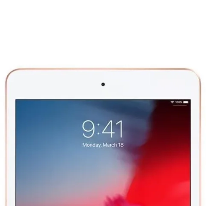 Apple iPad Mini 7.9-inch 5th Gen A2133 White/Gold - WIFI - Image 11