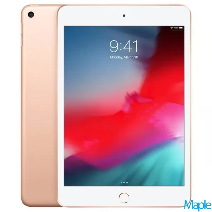 Apple iPad Mini 7.9-inch 5th Gen A2133 White/Gold - WIFI - Image 2
