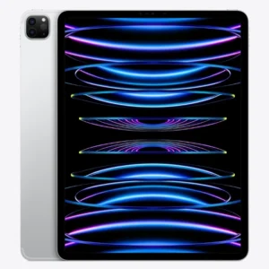 Apple iPad Pro 12.9-inch 6th Gen A2437 Black/Silver - Cellular