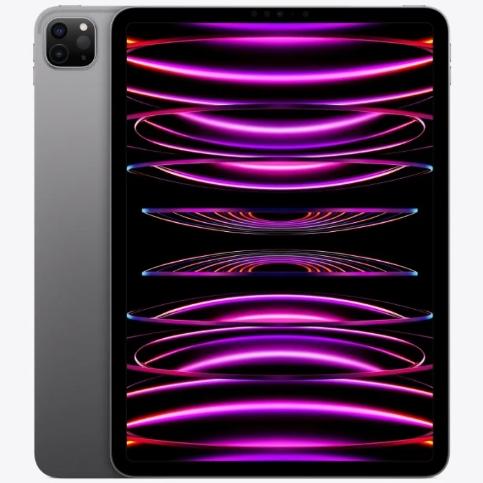 Apple iPad Pro 11-inch 4th Gen A2759 Black/Space Grey - WIFI