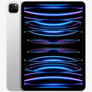 Apple iPad Pro 11-inch 4th Gen A2759 Black/Silver - WIFI