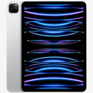 Apple iPad Pro 11-inch 4th Gen A2761 Black/Silver - Cellular